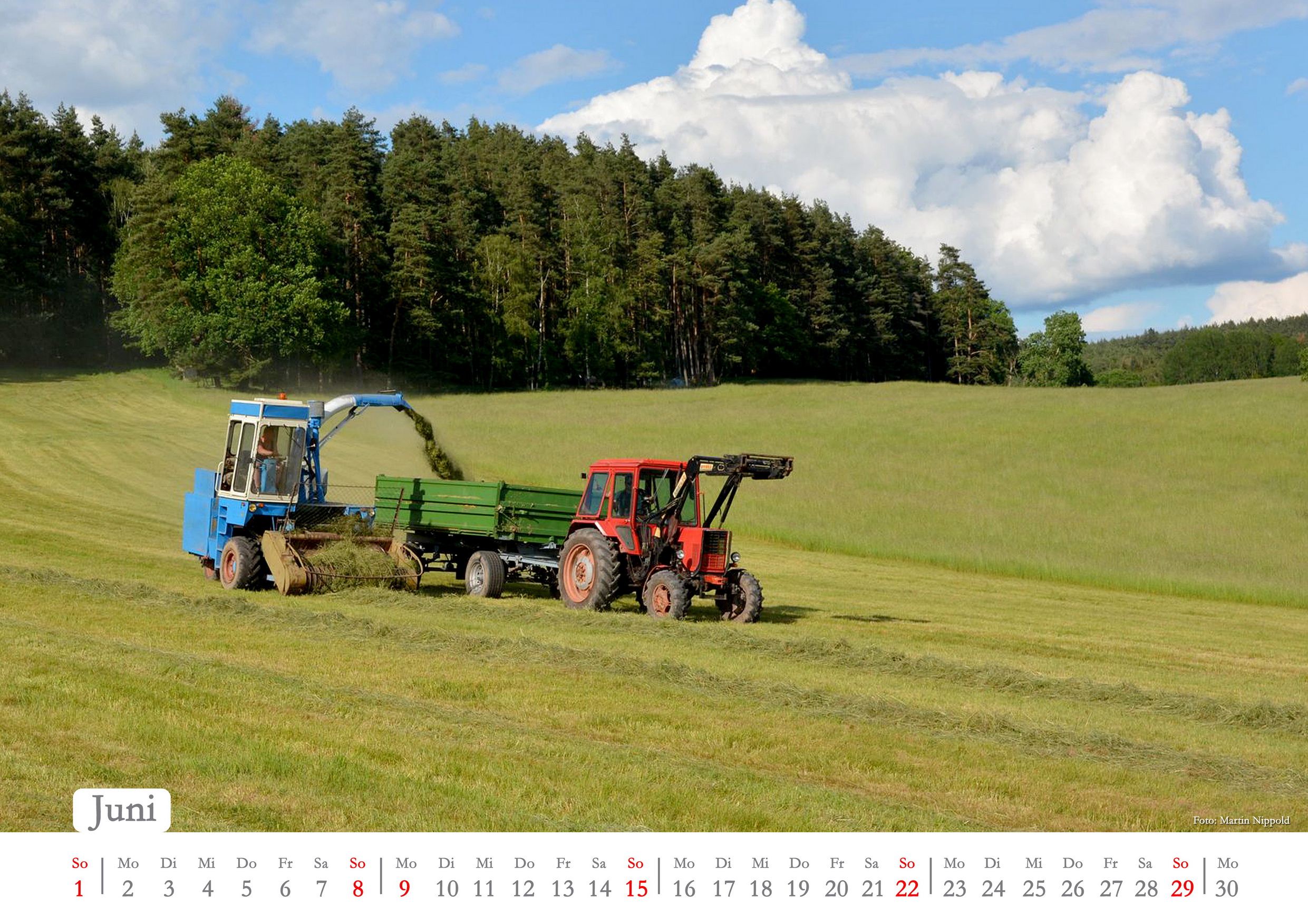 06 Juni_Bildgröße ändern